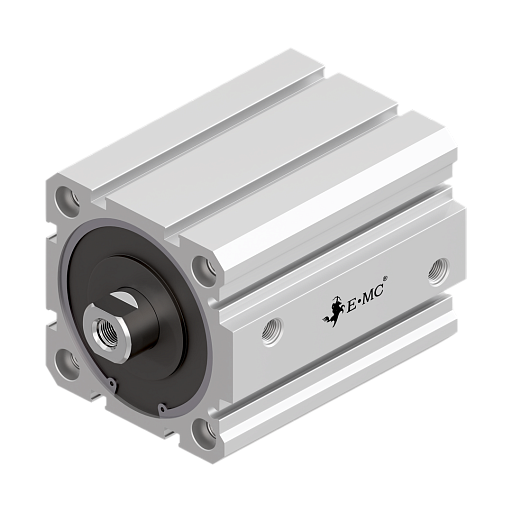 Пневмоцилиндр по ISO 21287 SF63x50-S