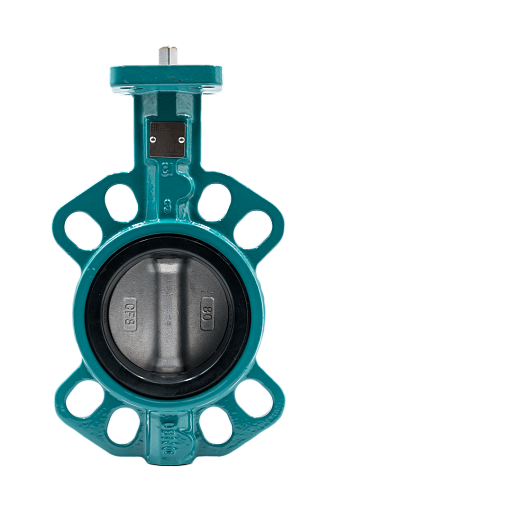 Затвор дисковый VZACC-C-80-10-PN16-H2-V3-E